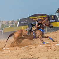 aliceleao18