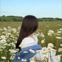 yasmen___yasmen