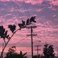 original sound - user5855059728701