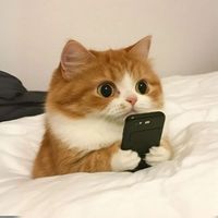 nhạc nền - 🌱Trần Thị Ngọc Trinh🌱