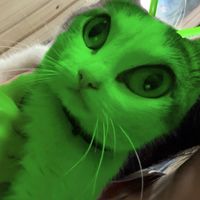 оригинальный звук