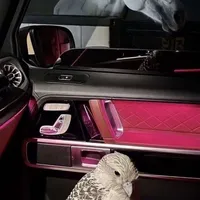 original sound - qpvxtxprqih