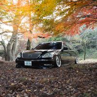 lxlxlx_44