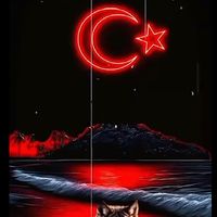 burhanettinglsoy