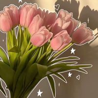 camila_45283
