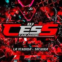 original sound - djcesscaraudio