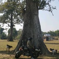 pramishpunmagar3