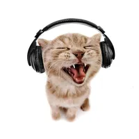 original sound - diegx_music