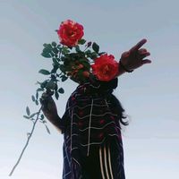 zoyaamir114