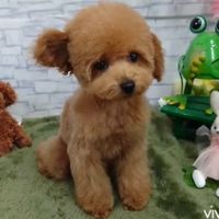 ご飯の時間ではないでしょうか