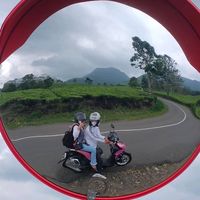 salsa_saa24