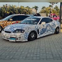 shady_haythem