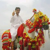 original sound - mir_abdulmajeed