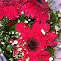 original sound - uarethecozofmyeuphoria__