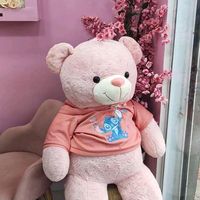 nour_3802