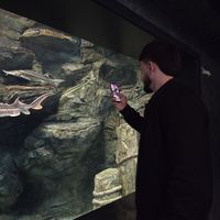 оригинальный звук