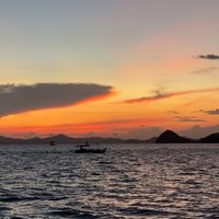 phrases.motivational