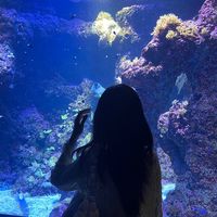 jxyn_.sleepz