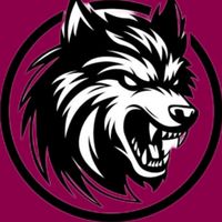 original sound - D S N BALOCH