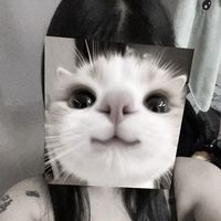 lalita_aom1