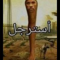 3brady0