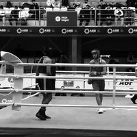 1.mamedov__
