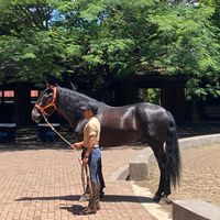 gustavojuarez8847