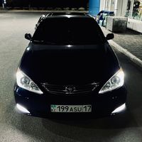 balginbek_17