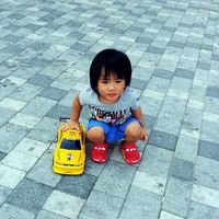 _mchlliae