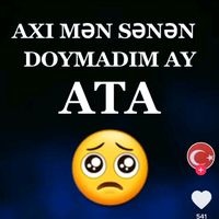 atam19386