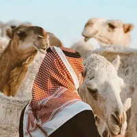 original sound - 7f_26