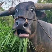 imalittlenana