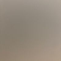 リー君のやつ