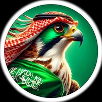 user9544596012861