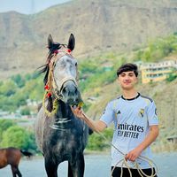 tayab_diwan04