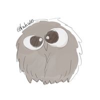 kuh_u60