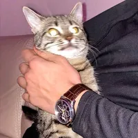 original sound - redin.mk