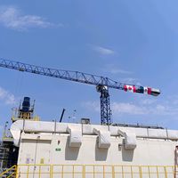 gusano0641