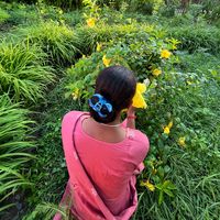 nishakshetri62