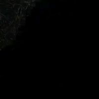 suara asli - fnytbn12