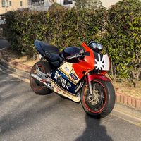 shotaro_hornet