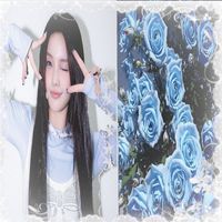 sophiagamer1233
