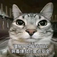 原聲 - 貓meme