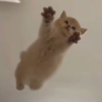 오리지널 사운드 - Hết bệnh thì đổi tên 🤒