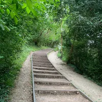 original sound - mamatathapa741