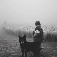 оригинальный звук