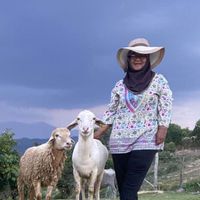 bunyi asal - Hari - hari ado cerito 🤭