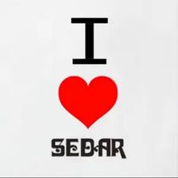 sedarshoes1