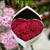 user6410610604358