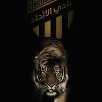 7Assan